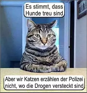 Klicken Sie auf die Grafik fr eine grere Ansicht

Name:	DrogenKatze.jpg
Hits:	56
Gre:	80,5 KB
ID:	913198