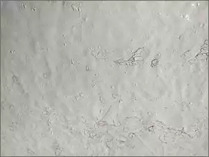 Klicken Sie auf die Grafik fr eine grere Ansicht

Name:	BI.jpg
Hits:	66
Gre:	44,3 KB
ID:	917522