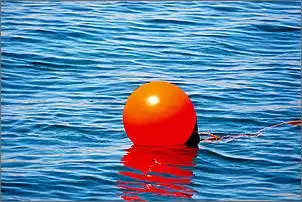 Klicken Sie auf die Grafik fr eine grere Ansicht

Name:	anchor-buoy-g75162ce6b_1920.jpg
Hits:	80
Gre:	96,0 KB
ID:	939942