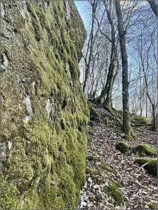 Klicken Sie auf die Grafik fr eine grere Ansicht

Name:	28.jpg
Hits:	51
Gre:	186,7 KB
ID:	952048