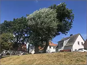 Klicken Sie auf die Grafik fr eine grere Ansicht

Name:	232BE7C3-ED1E-4B68-9659-C763EE531DCB.jpg
Hits:	19
Gre:	144,5 KB
ID:	965710