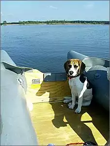 Klicken Sie auf die Grafik fr eine grere Ansicht

Name:	IMAG0016.jpg
Hits:	1262
Gre:	33,4 KB
ID:	97191