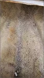 Klicken Sie auf die Grafik fr eine grere Ansicht

Name:	20230328_142145.jpg
Hits:	114
Gre:	157,3 KB
ID:	984397